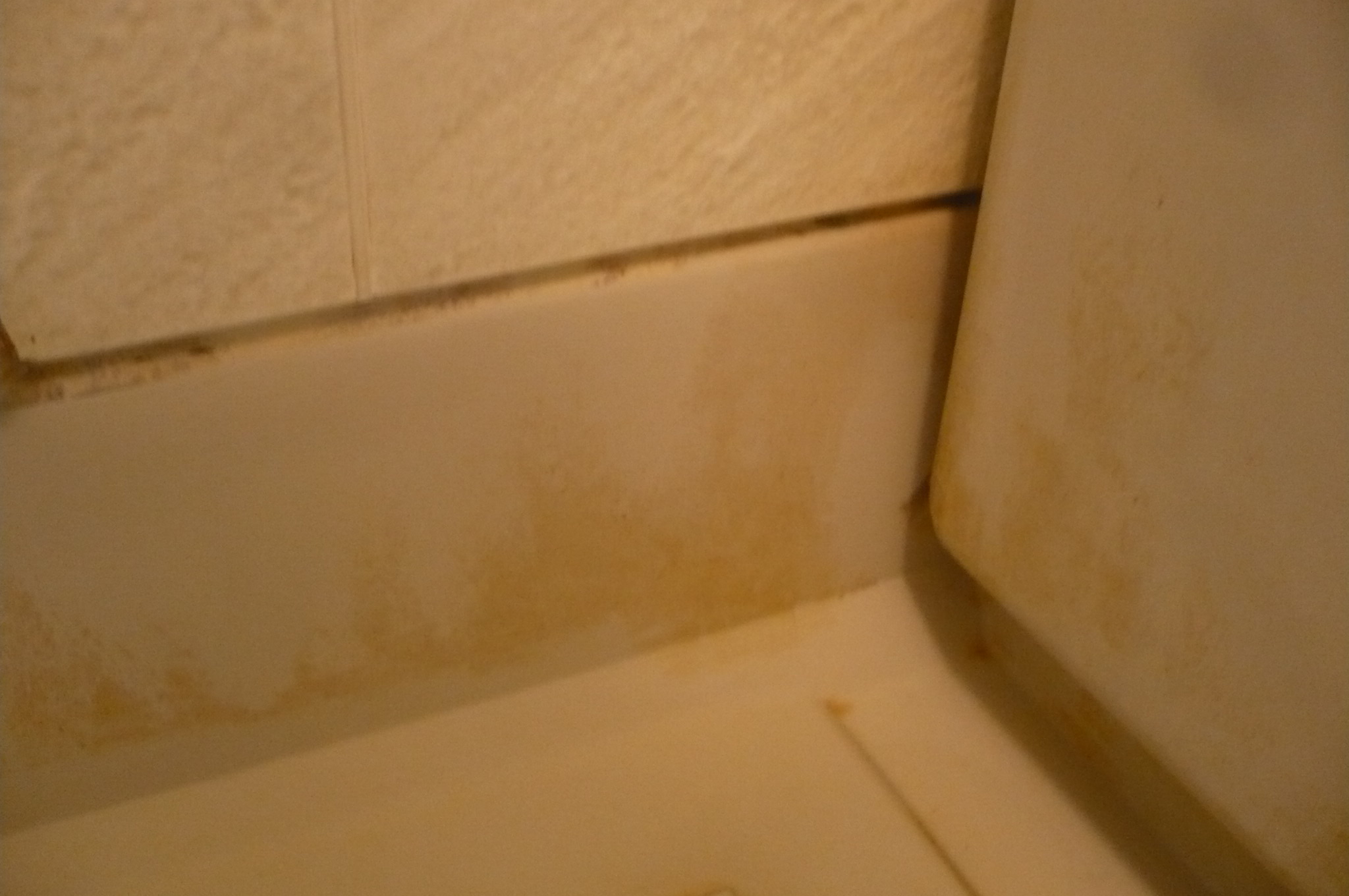 風呂の汚れの落とし方を紹介 床に近い壁の皮脂汚れを落とす実験を公開 楽しく生活情報サイト